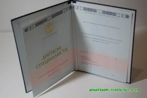 Купить диплом Новгородского филиала РАНХиГС — Российской академии народного хозяйства и государственной службы при Президенте РФ в Рязани